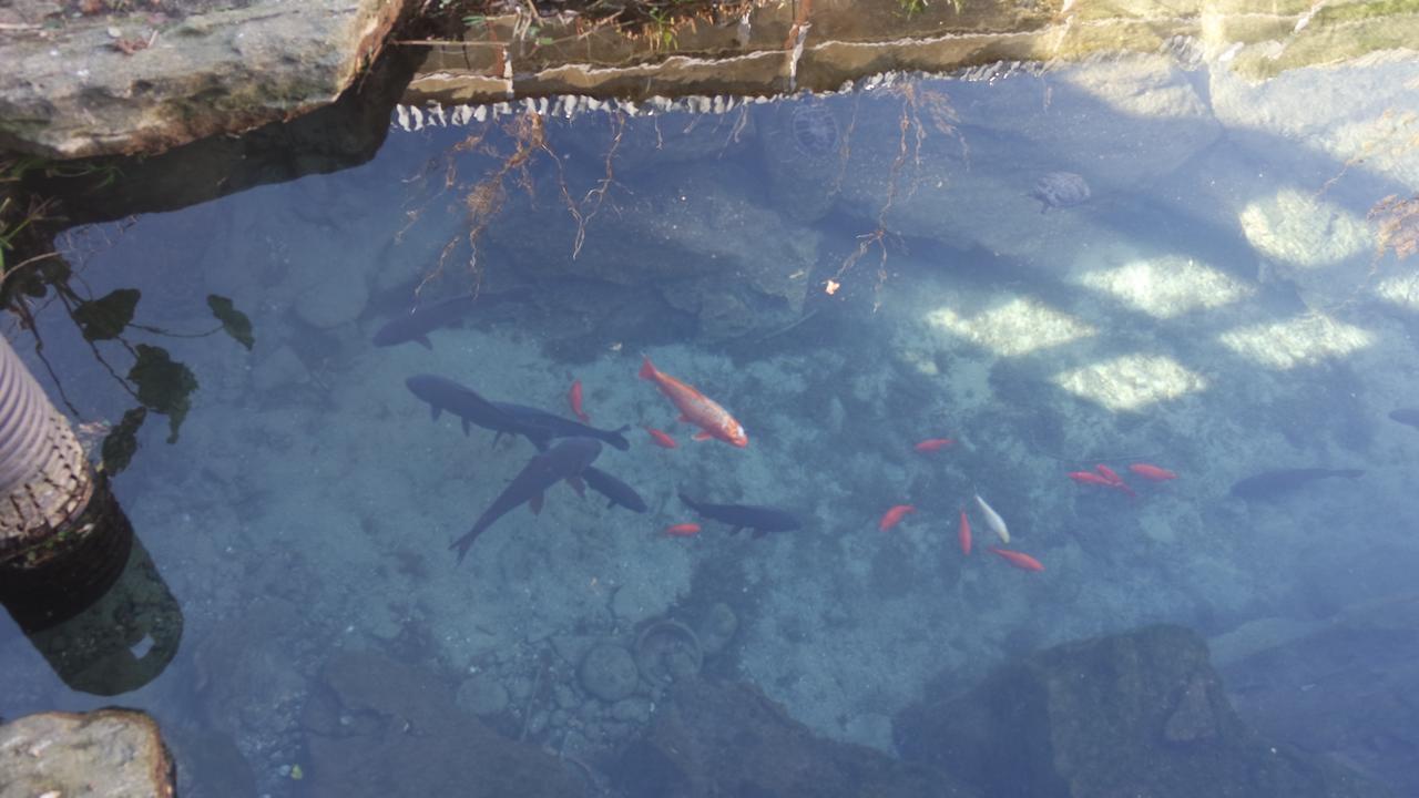 בית הארחה SantʼEufemia Lamezia 	Agriturismo Masseria I Risi מראה חיצוני תמונה